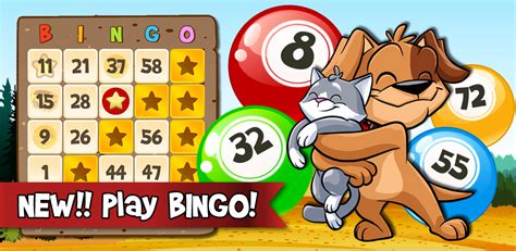 bingo abradoodle bingo games free to play